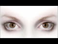 Thumbnail #3