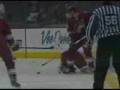 Coyotes Talk with McCain and Obama