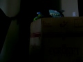 videos de The Adventures of Puppets!!!