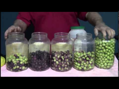 how to cure green olives
