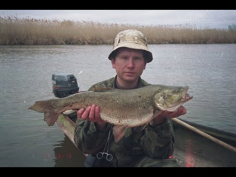 YouTube Трейлер