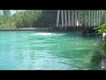 Bridge Jump In Freeport Bahamas