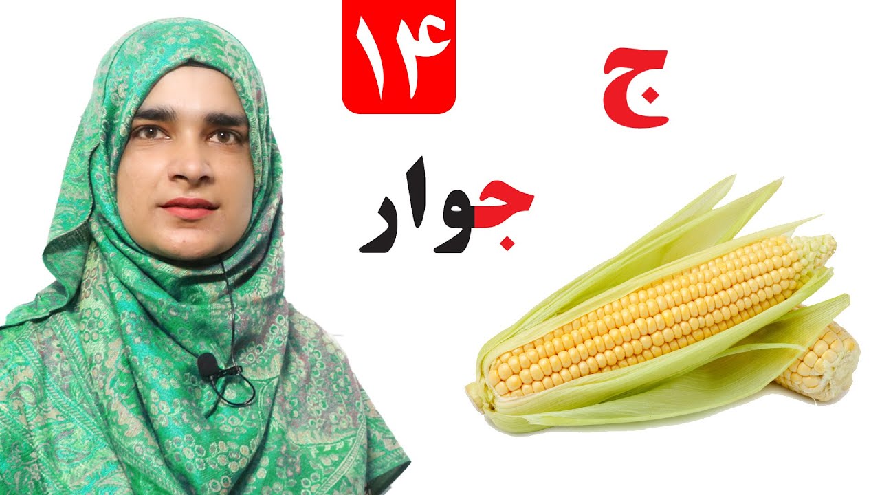 Lesson 14 _ Grade 1 _ Pashto book / لوست ۱۴_ د پښتو کتاب _ لومړی ټولګی