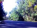 lets ride 250s