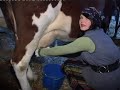 Czo?�wka do Studni�wki 2008 kl. 3J cz. I, I LO w ?ukowie
