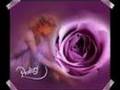 =*****H Z HAMZA=*****