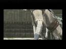 shadow of the colossus   el siguiente coloso es    quadratus