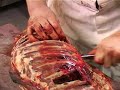 Roe Deer Butchering Part 2 - The Hunting Life