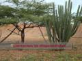 Fundacion Social Wayuu Nutritotal 1 Fundacion Social Wayuu Nutritotal 1