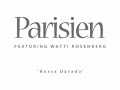 parisien gipsy jazz with watti rosenberg performing at a django reinhardt festival in holland playing 