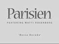 parisien gipsy jazz with watti rosenberg performing at a django reinhardt festival in holland playing 