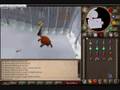 videos de Solo Bandos Trip - READ DESCRIPTION