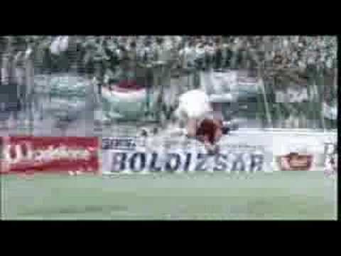 Zoltan Gera