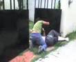 Dopado o no te madreo