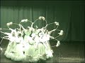 DANZAS CANTACLARO DE MARACAIBO