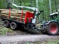 Rimorchio forestale Bernardi da bosco a strada
