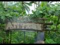 Bohol Adventure