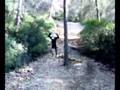 bttxiulet salto el maiquel llacson