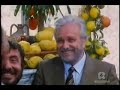 il mistero di bellavista   larte moderna