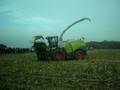 Claas aux champs 2008 2