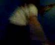 The Fight 3