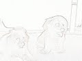 Napo and Musey