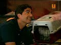 AMOR MIO SEGUNDA TEMPORADA- PRIMER CAPITULO P3 AMOR MIO SEGUNDA TEMPORADA- PRIMER CAPITULO P3