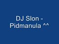 Pidmanula ( a DJ Slon mix)
