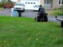 Suzuki lt230 wheelie