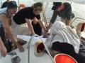 met Beneteau First 456