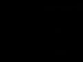 trans 1  animation 