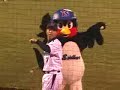 田中浩康　ヤクルトスワローズ