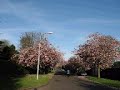 Argyle St, Helensburgh