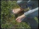 CARNAUVA - Vientito del sur - metamate - 2006