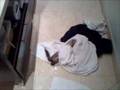 my ferret linoone going crazy after shower