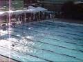videos de 100 m peito.wmv