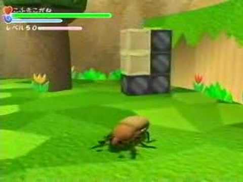 ??????2 ?????? (June beetle)