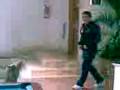videos de Gargano show