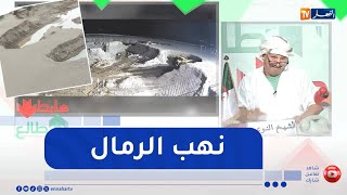 طالع هابط : مشاهد حقيقية..   نهب الرمال بشواطئ جيجل ..   كارثة بيئية تتكشف أمام الكاميرا