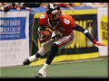 arena football arena football