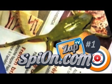 Le Zap de Spi0n TV #1