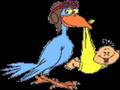 TRAFFIC - Glad