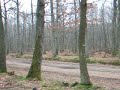 galop