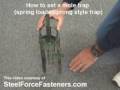 Learn How to Kill Moles mole trap