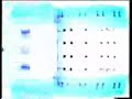 Four Tet - She Moves She