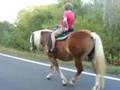 Joslynn's 2nd night of riding