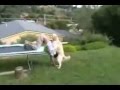 trampoline double fail- DIRECTOR