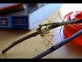 mantis eats daddy long-legs
