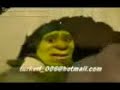 shrek �orum versiyon
