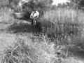 Dirt jumping Ervedal